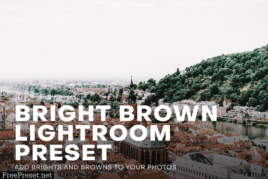 Bright and Brown Lightroom Preset 4552387
