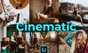 Cinematic Mood LR Mobile Presets 4728561
