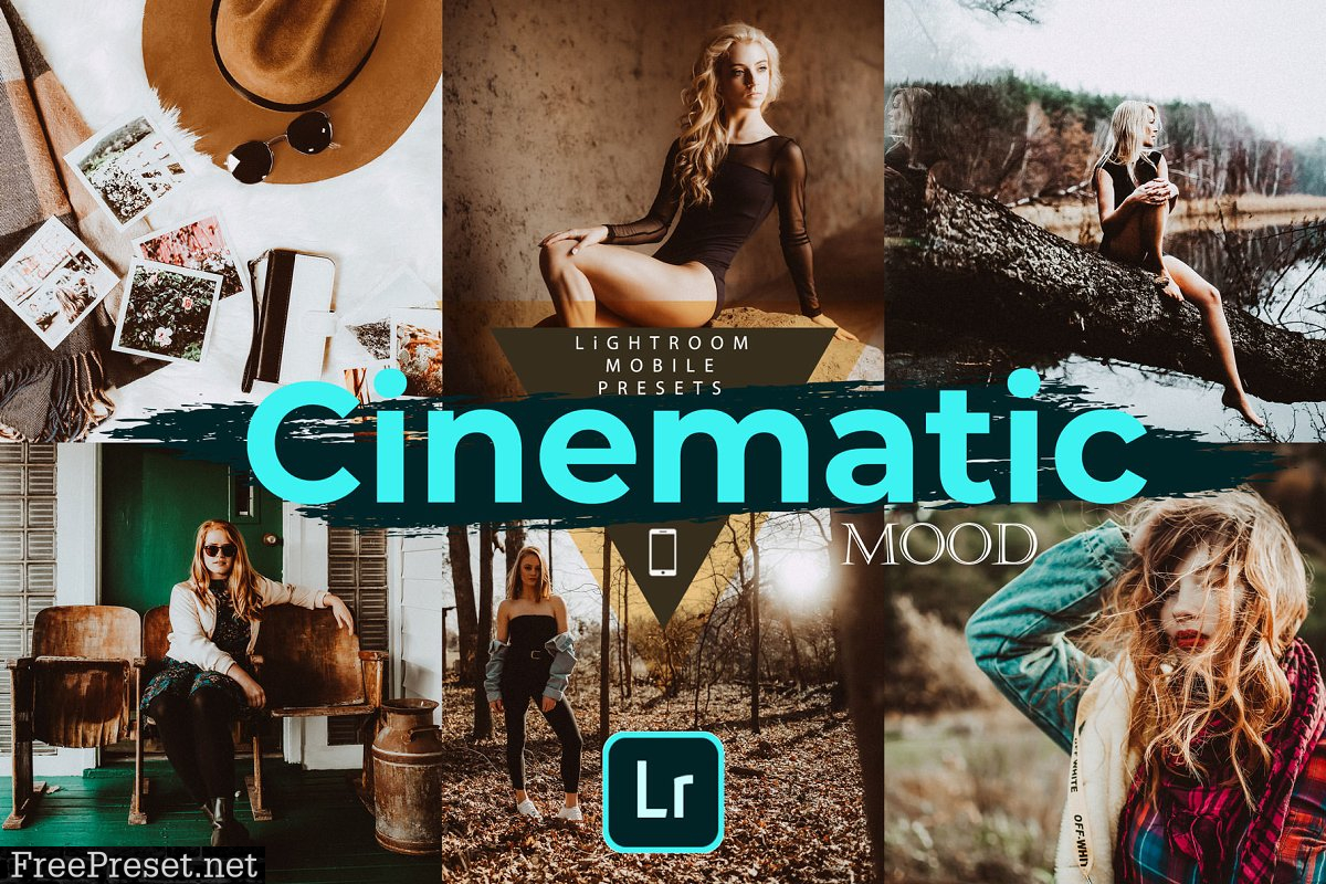 Cinematic Mood LR Mobile Presets 4728561