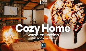 Cozy Home Lightroom Presets 4726180