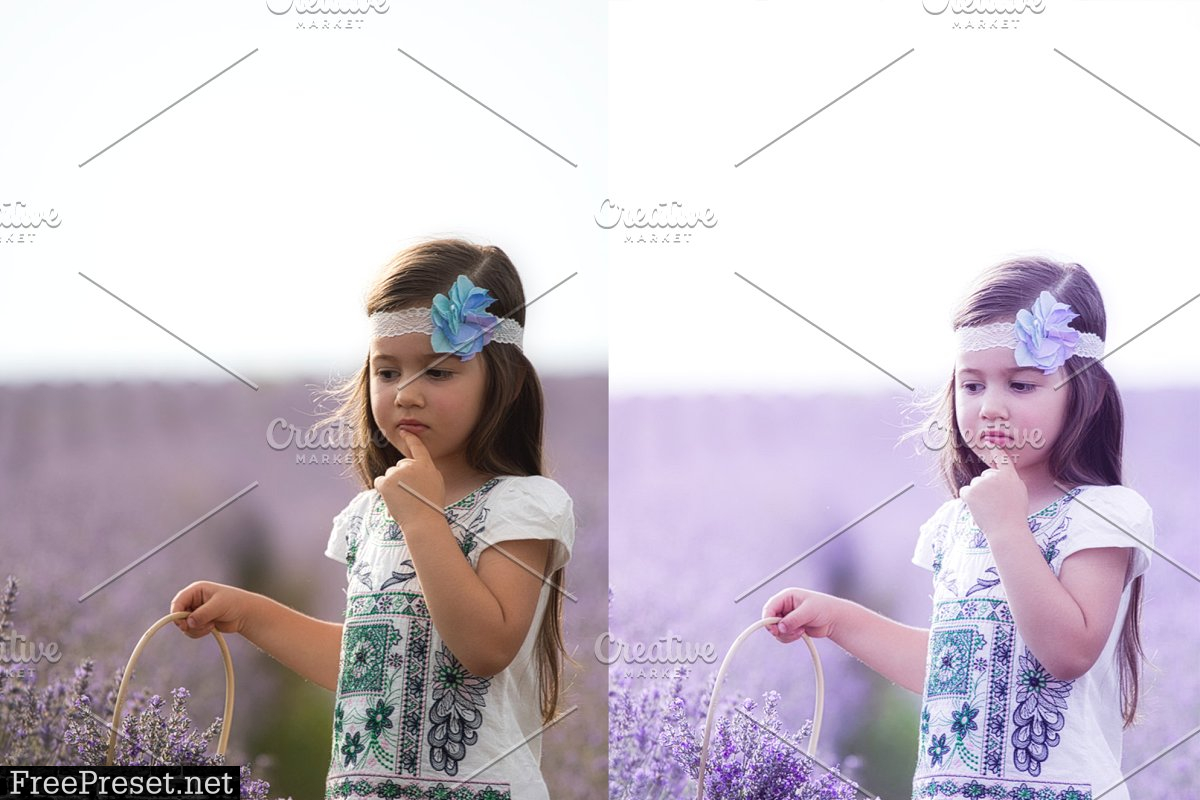 Desktop Presets | Lavender 4789375