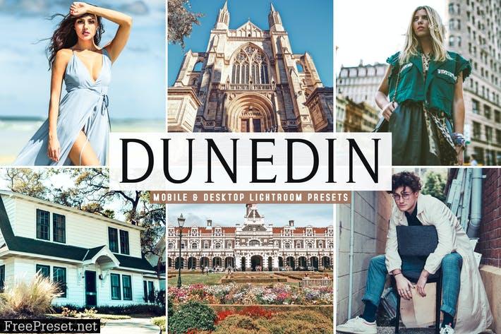 Dunedin Mobile & Desktop Lightroom Presets