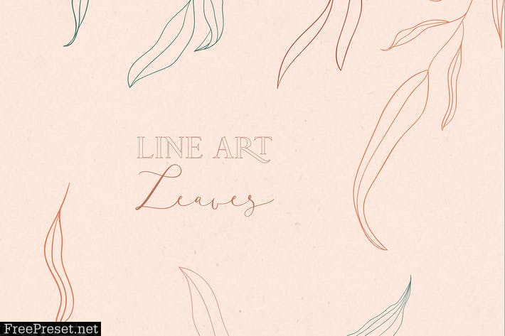 Line drawing leaves illustrations and Art Brushes.