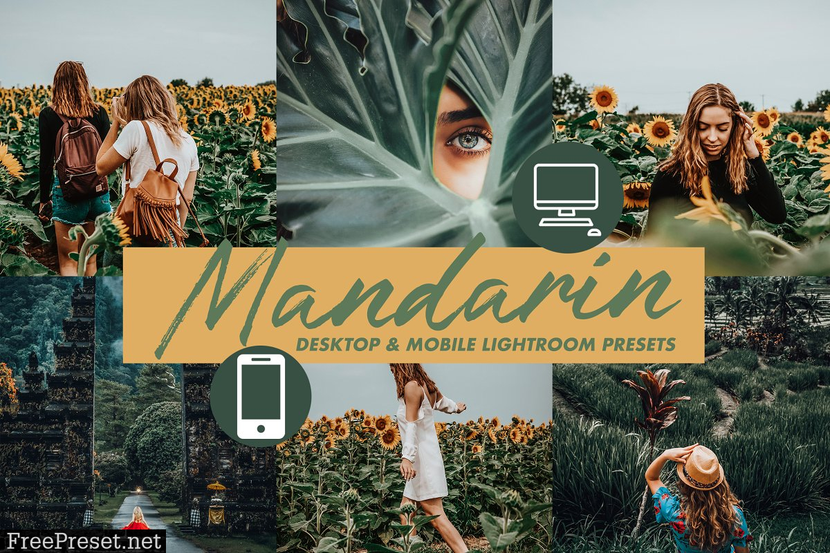 Mobile Lightroom Presets MANDARIN 3116056