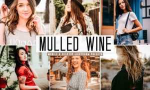 Mulled Wine Mobile & Desktop Lightroom Presets