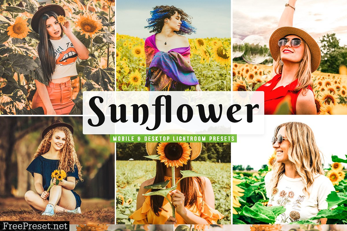 Sunflower Field Presets | Desktop 4792014