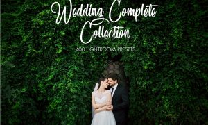 Wedding Complete Collection 3513442