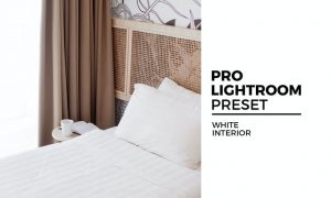 White Interior Preset
