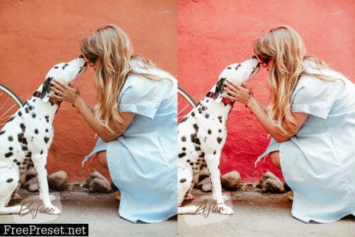 14 Mobile Lightroom Presets Pet Lovers 4110044