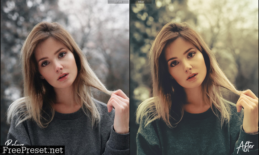 25 Moody Portrait Lightroom Presets 26453904