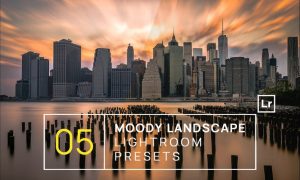 5 Moody Landscape Lightroom Presets + Mobile