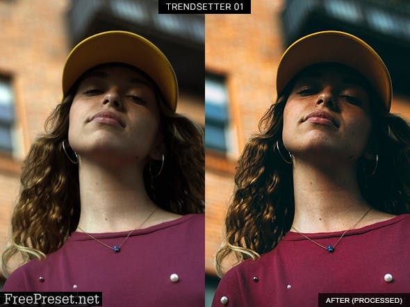 6 Trendsetter Lightroom Presets