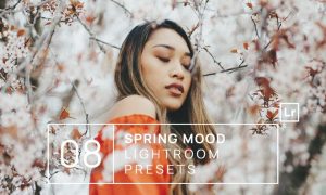 8 Spring Mood Lightroom Presets