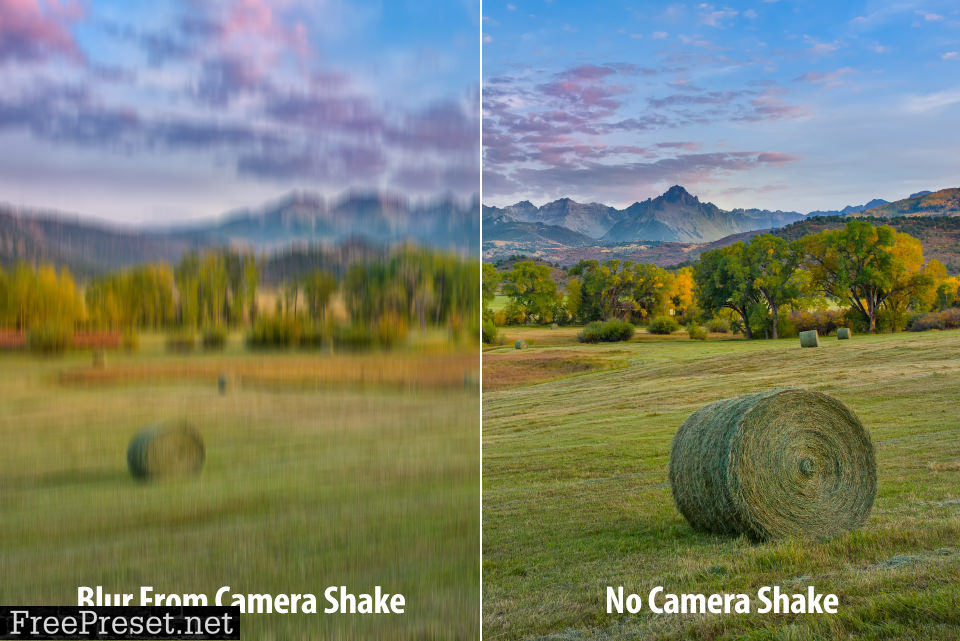 With and Without Camera Shake