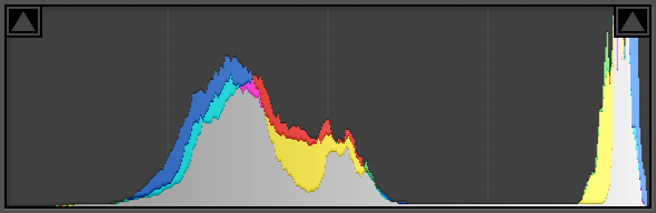 Perfect ETTR Histogram