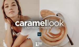 CARAMEL Lightroom Presets Bundle 4619144