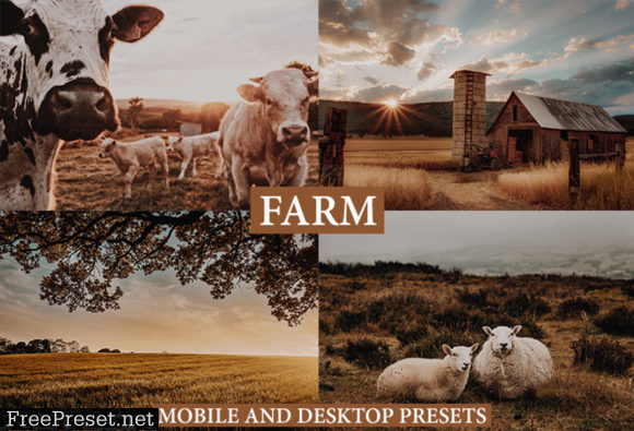 Cinematic Farm Lightroom Presets 4222146