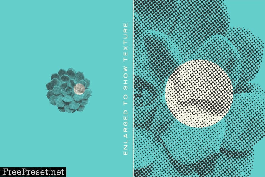 Halftone Vector Succulents T6HMGER