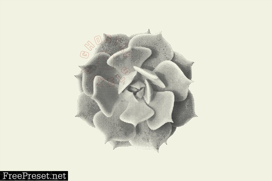 Halftone Vector Succulents T6HMGER