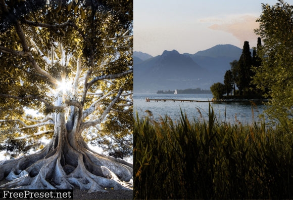 Landscape Desktop & Mobile Presets 4127196