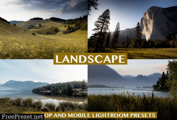 Landscape Desktop & Mobile Presets 4127196