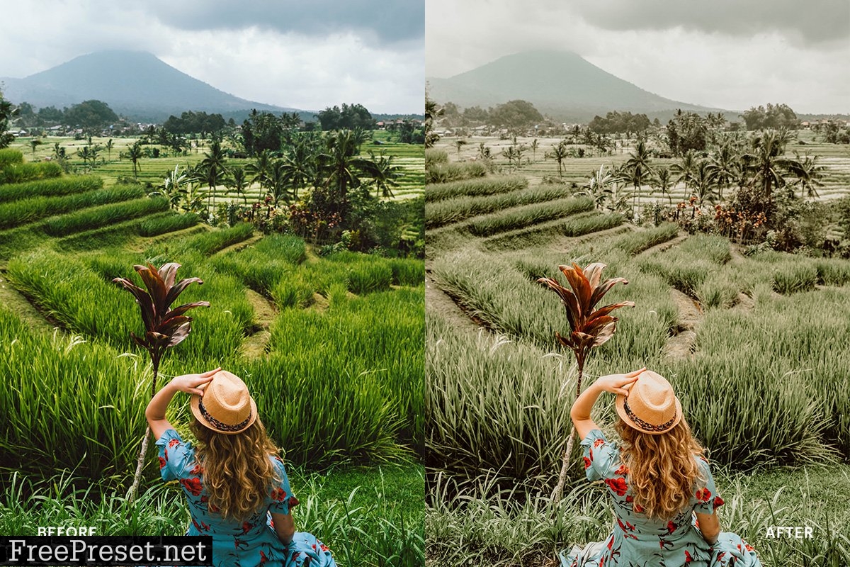 Lightroom Preset-Ubud Bali Theme 4971940