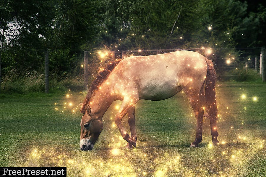 MagicDust Photoshop Action 9NT2SHM