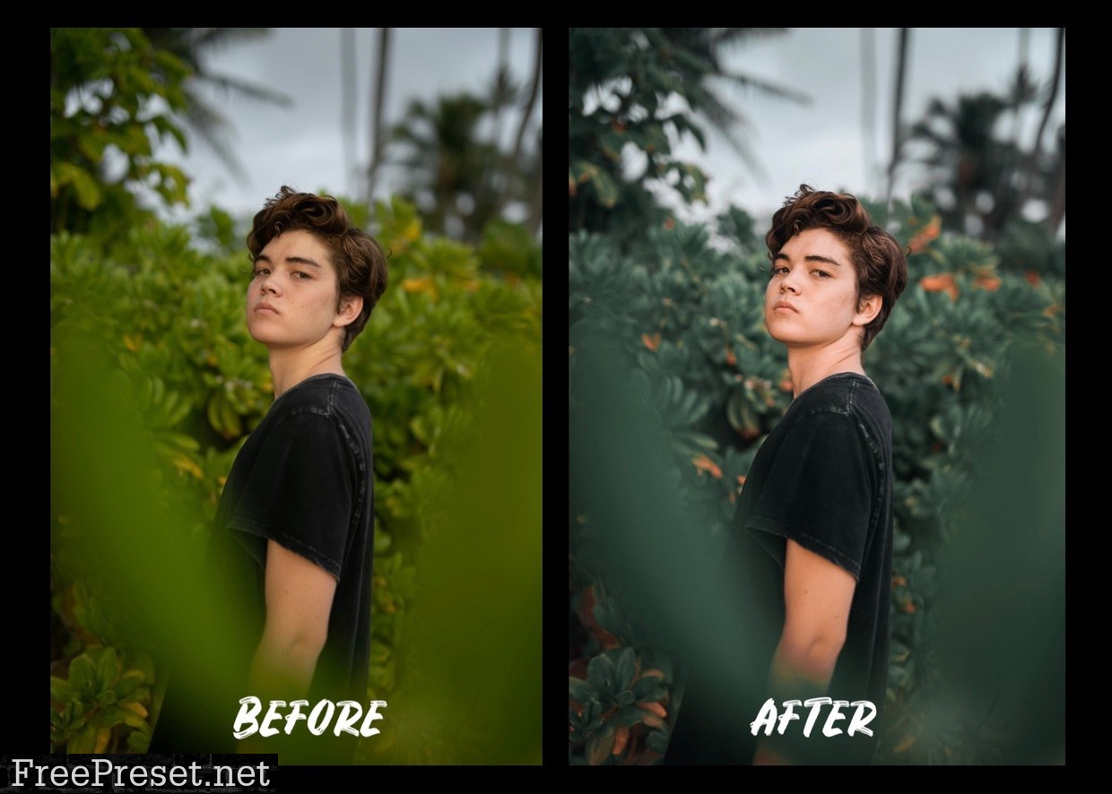 Nolan Omura Desktop Lightroom Presets