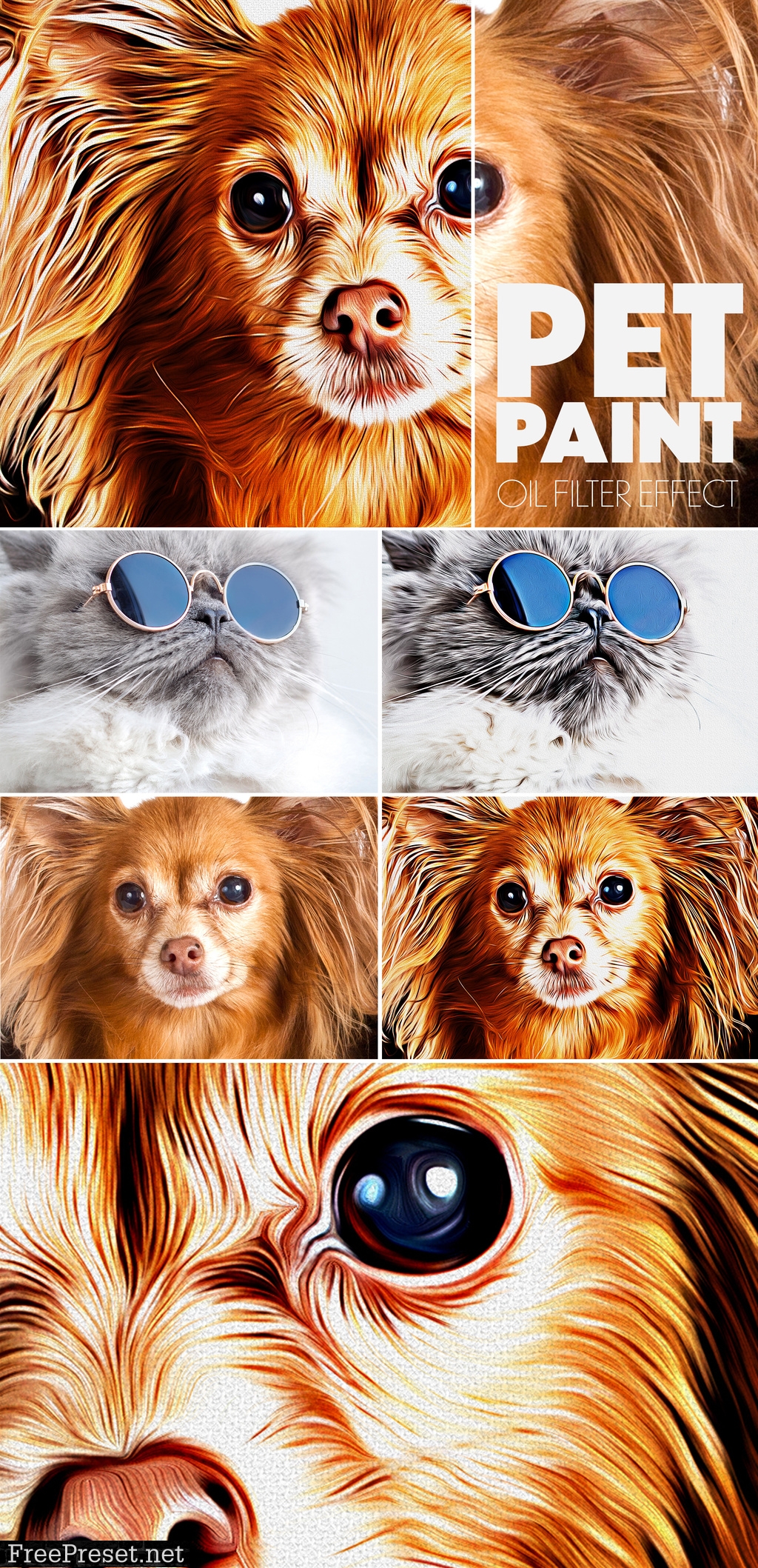 Pet Paint Effect 346314439