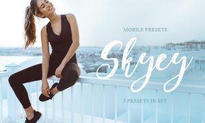 Skyey Mobile Presets 4143042