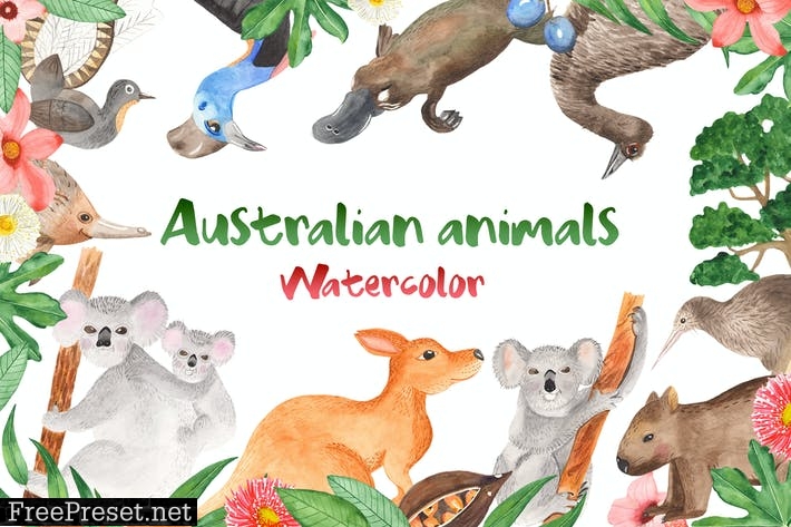 Watercolor Australian animals and plants FKDJRBL