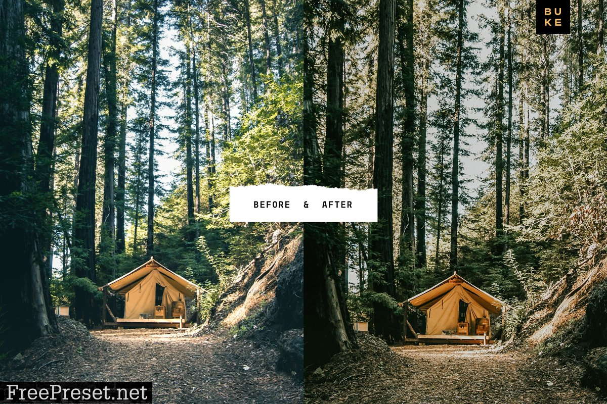 Wild Wishes – 6 Lightroom Presets 4876700