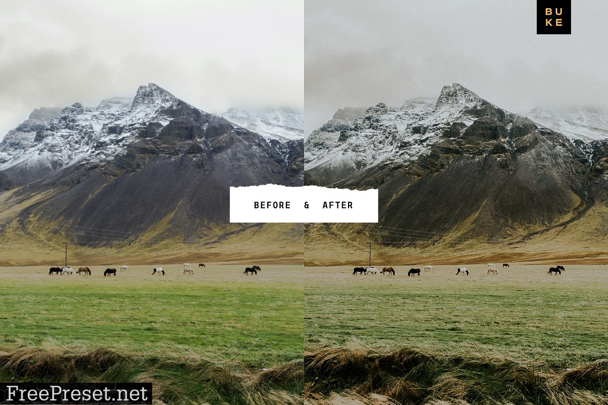 Wild Wishes – 6 Lightroom Presets 4876700