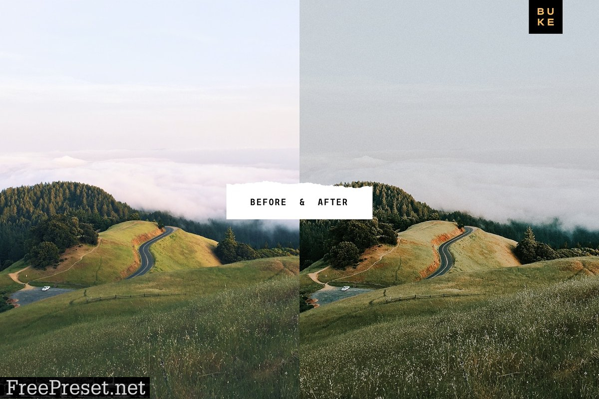 Wild Wishes – 6 Lightroom Presets 4876700