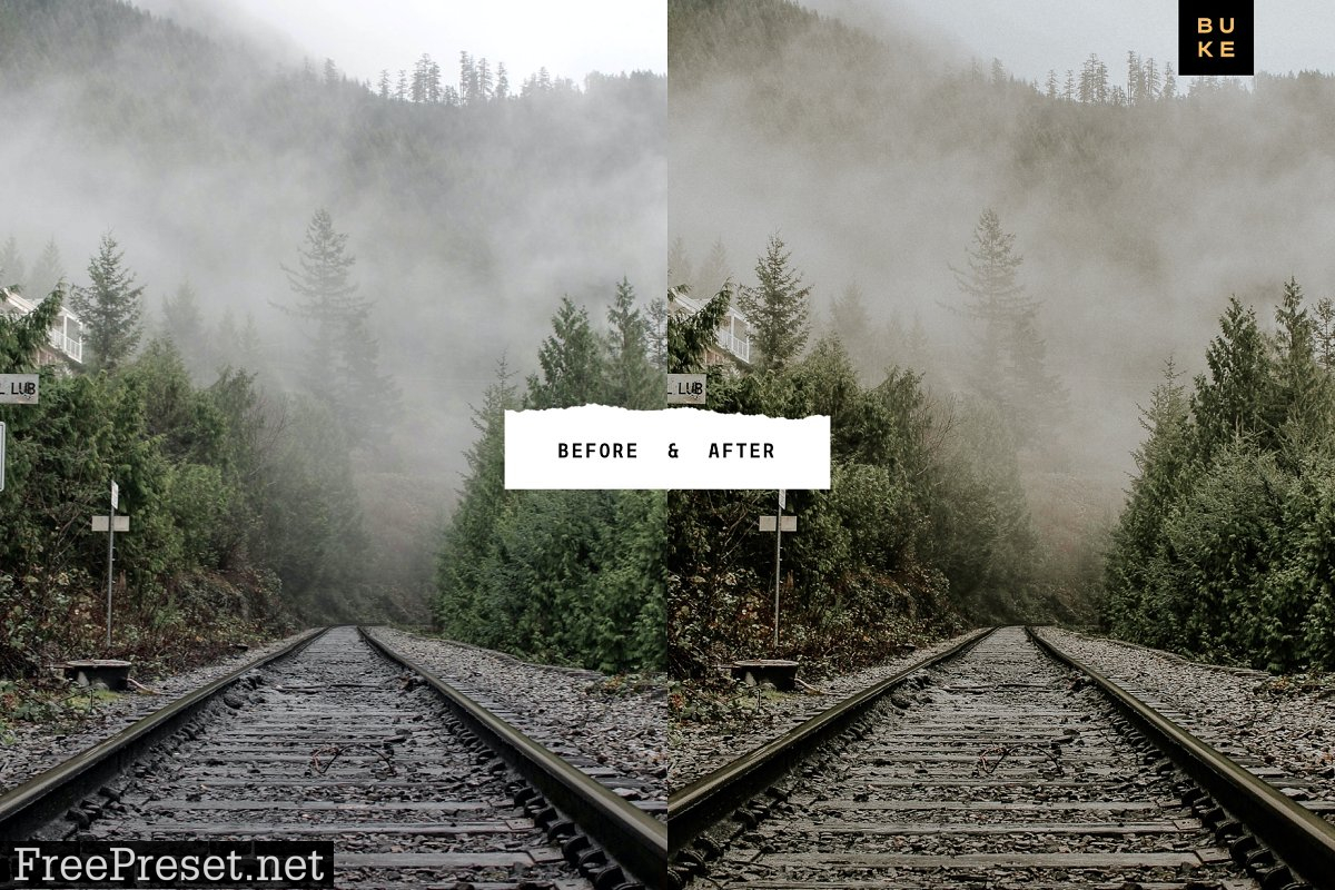 Wild Wishes – 6 Lightroom Presets 4876700