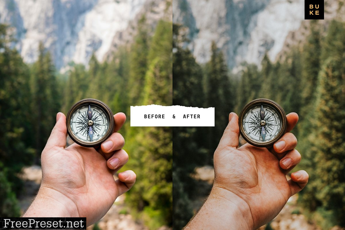 Wild Wishes – 6 Lightroom Presets 4876700