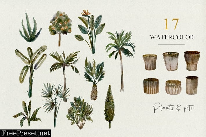 17 Tropical plants and pots - watercolor set 7937DFG