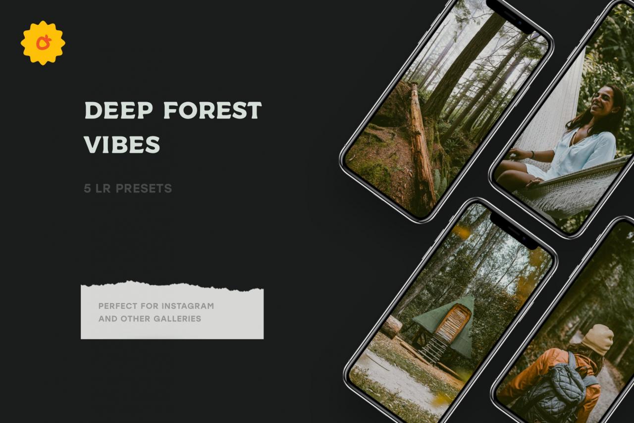 4 Forest Tales – Lightroom Presets 5003403