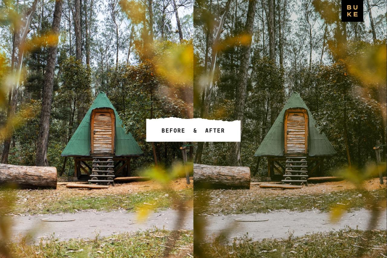 4 Forest Tales – Lightroom Presets 5003403