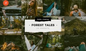 4 Forest Tales – Lightroom Presets 5003403