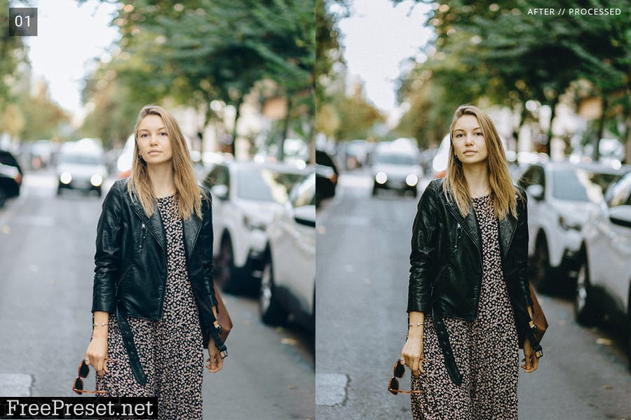 6 Film Look Pro Lightroom Presets