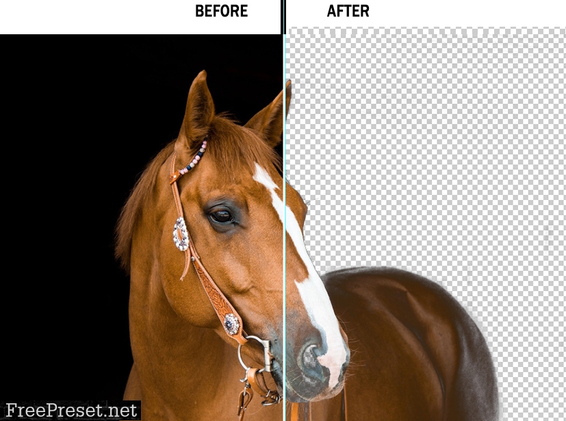 Background Remover Photoshop Action 26108315