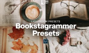 BOOKSTAGRAMMERS Presets 4876058