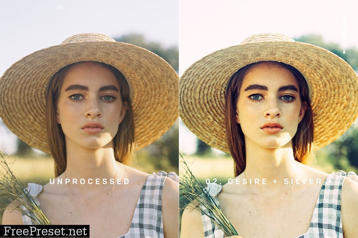 DESIRE XMP PRESETS 4192887