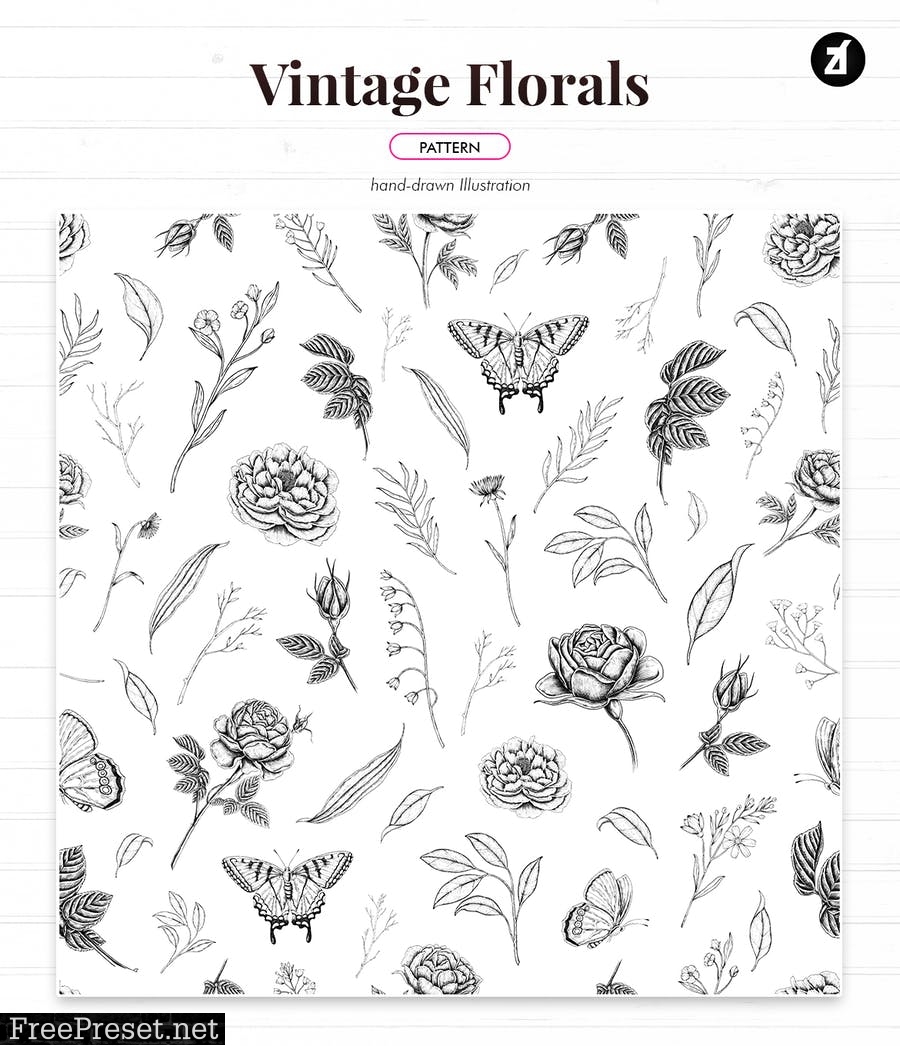 Floral vintage illustration border and pattern 9VZ5ADZ