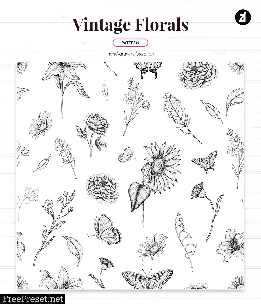 Floral vintage illustration border and pattern 9VZ5ADZ