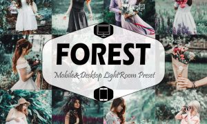 Forest Mobile & Desktop Lightroom Presets
