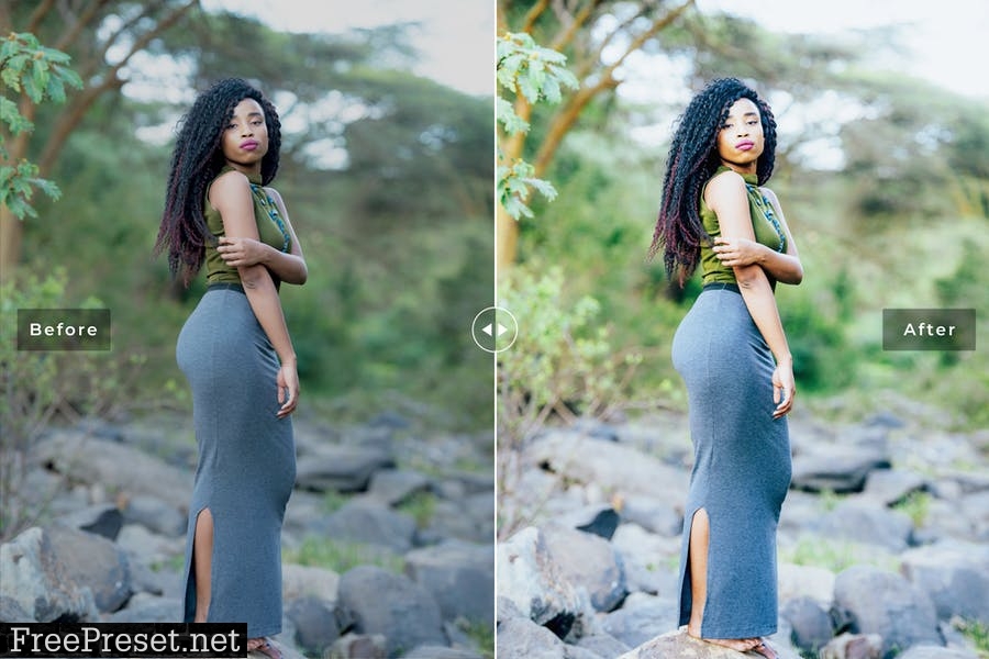 Kenya Mobile & Desktop Lightroom Presets