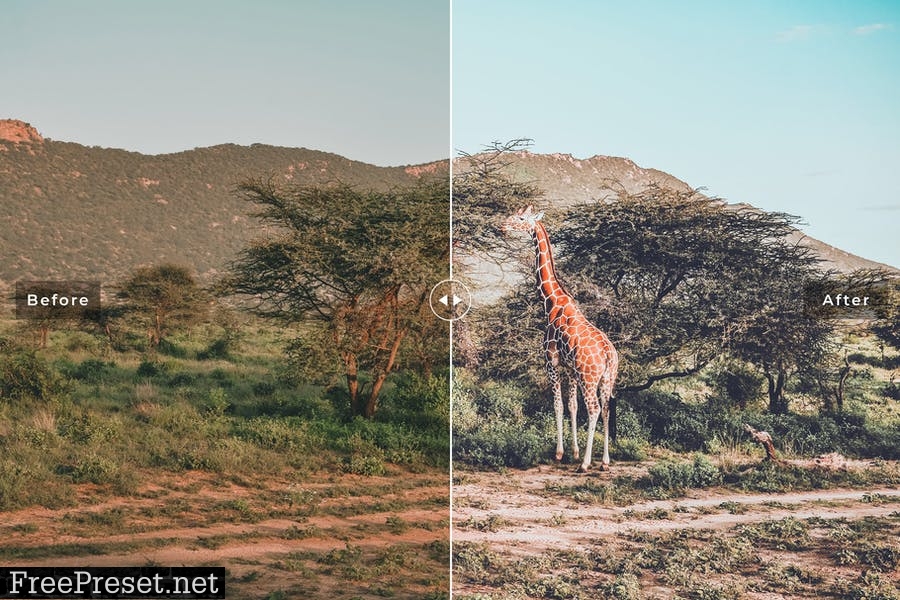 Kenya Mobile & Desktop Lightroom Presets