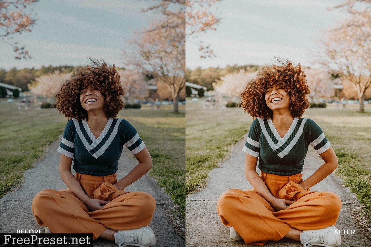 Lightroom Preset-Dark Skin Theme 4972975